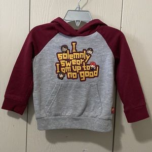 Harry Potter Grey & Burgundy Pullover Hoodie